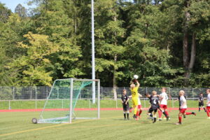 SB Chiemgau Traunstein – JFG Sempt Erding D1 12092021